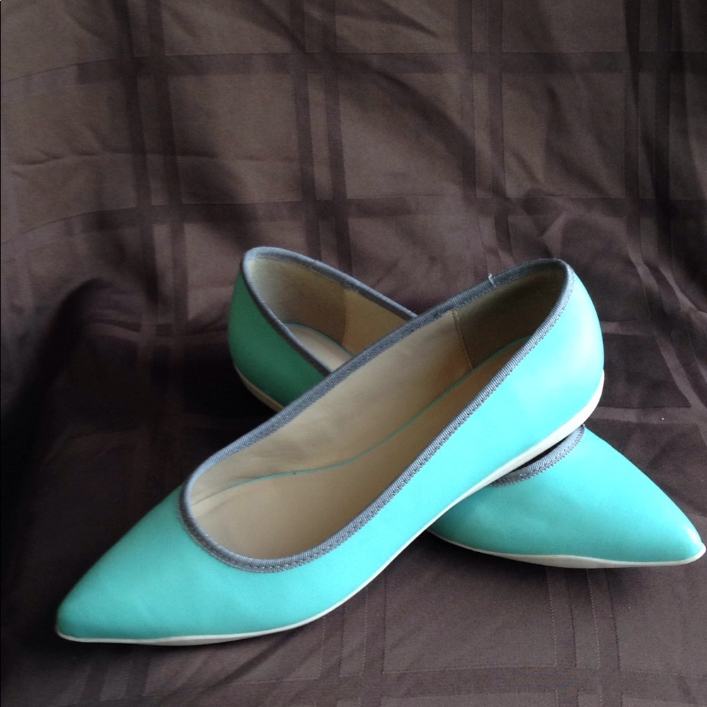 Logo By Lori Goldstein pointed Toe Ballerina Flats